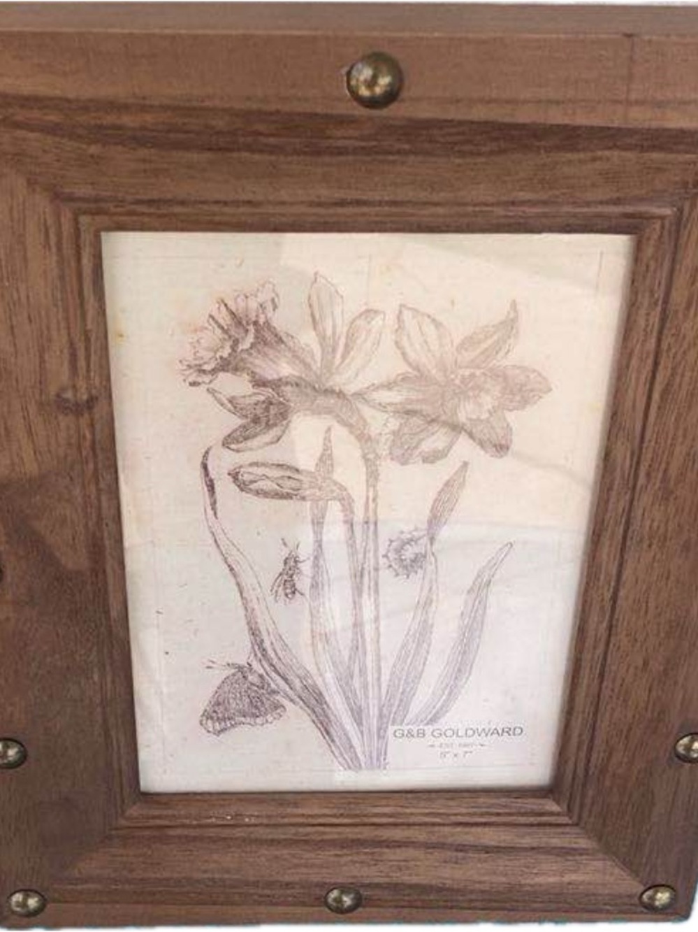 Wooden Framed Botanical Print - Brown Frame